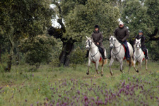 Spain-Central Spain-Extremadura Ride